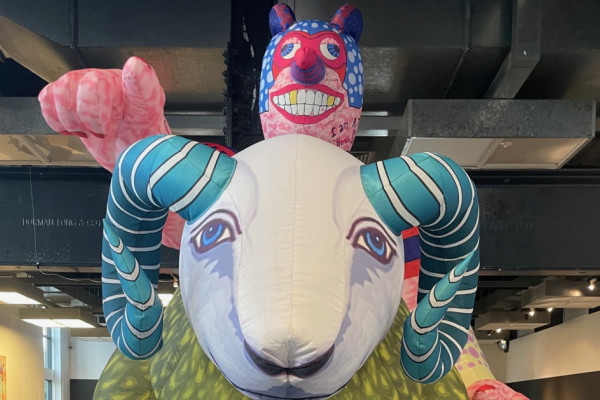 Work Experience Diaries