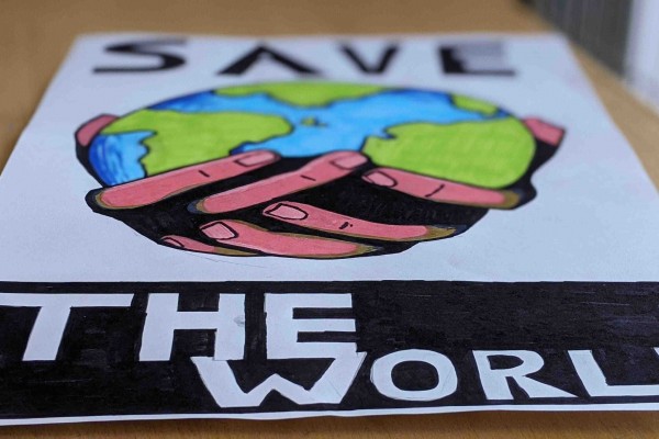 Work Experience at the Hub