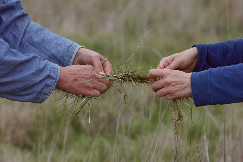 Creative Acts of Commoning